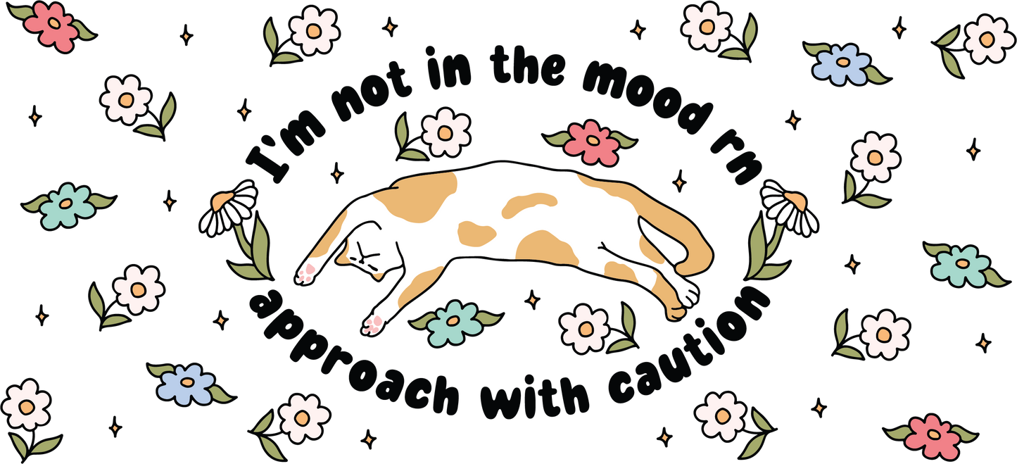 NSC003 - Cozy Cat