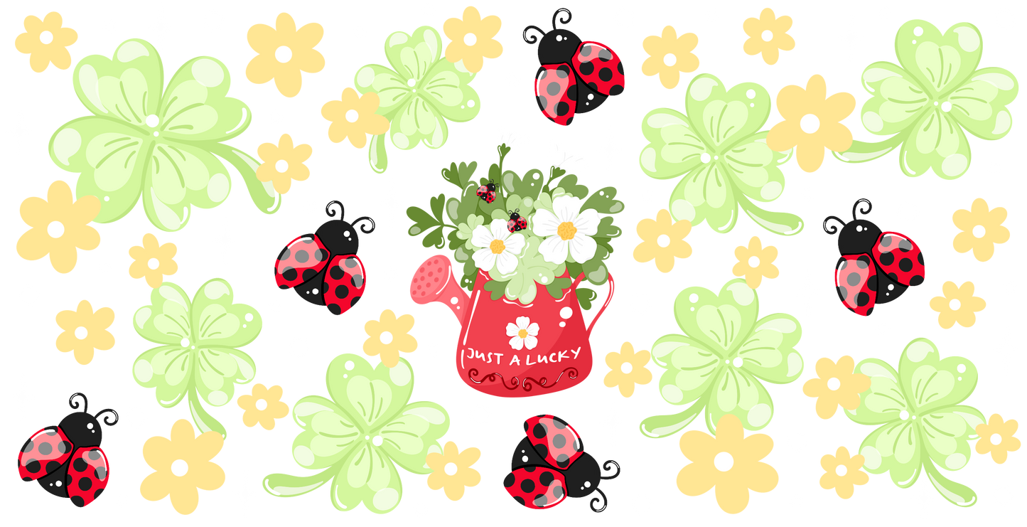 NSC042 - Lady Bug